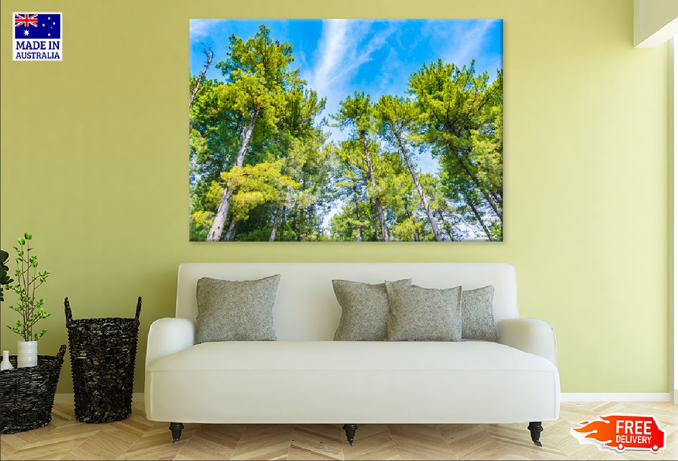 Pine Trees with Under Blue Sky Photograph Print 100% Australian Made