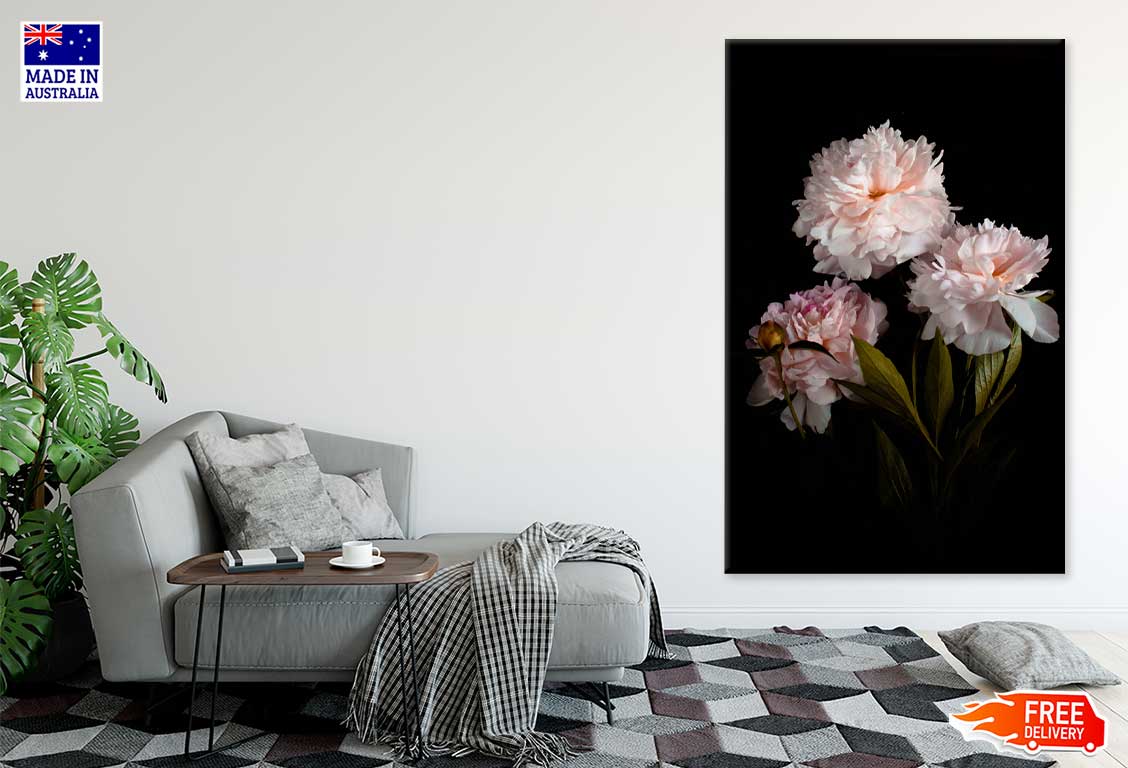 Pink Peonies on Dark Photograph Print 100% Australian Made