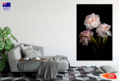 Pink Peonies on Dark Photograph Print 100% Australian Made