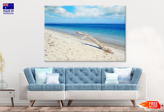 White Driftwood Tropical Beach Photograph Print 100% Australian Made