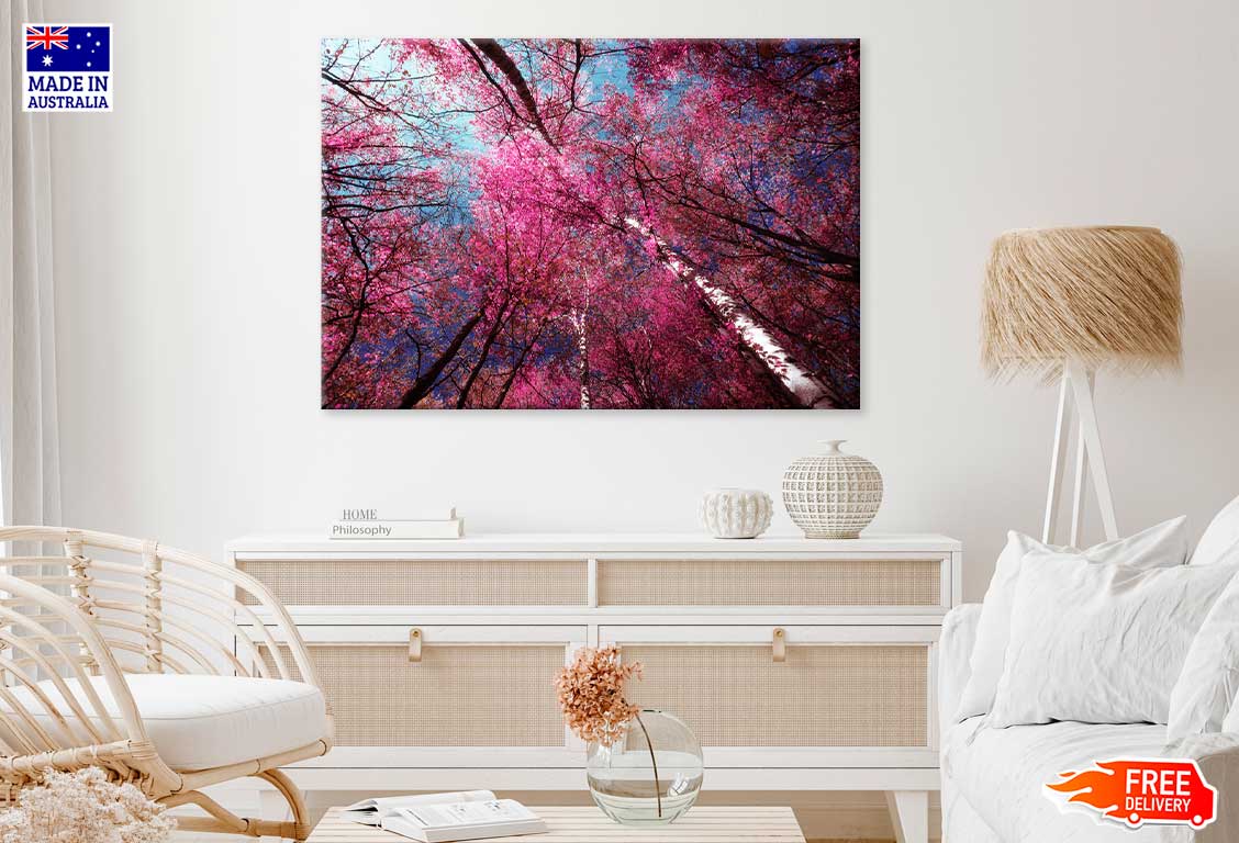 Pink Autumn Trees in Forest Scenery Photograph Print 100% Australian Made