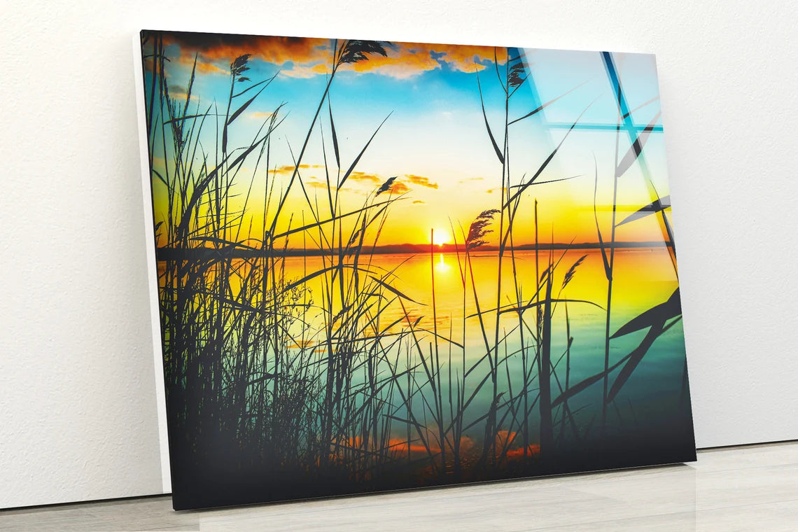 Grass Near Lake Sunset Scenery Photograph Acrylic Glass Print Tempered Glass Wall Art 100% Made in Australia Ready to Hang