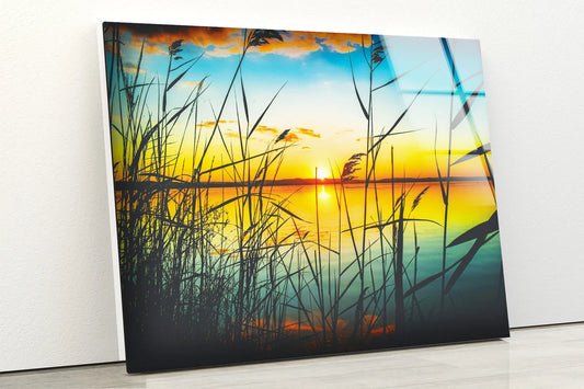 Grass Near Lake Sunset Scenery Photograph Acrylic Glass Print Tempered Glass Wall Art 100% Made in Australia Ready to Hang