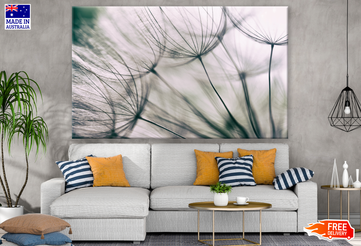 Dandelion Flowers Closeup Photograph Print 100% Australian Made