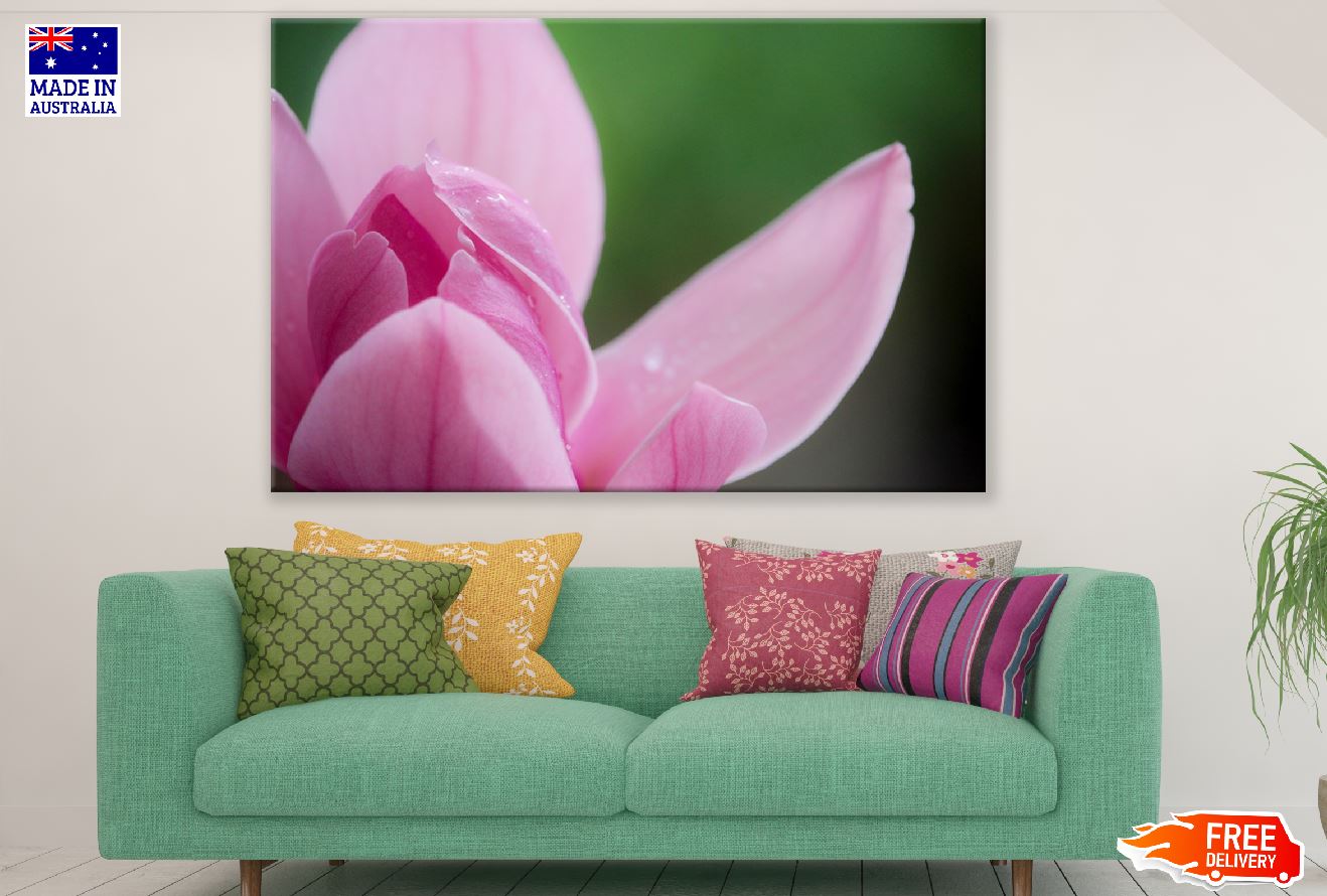 Pink Magnolia Flower Petals Closeup Photograph Print 100% Australian Made