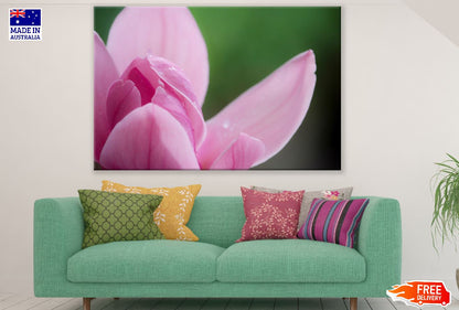 Pink Magnolia Flower Petals Closeup Photograph Print 100% Australian Made