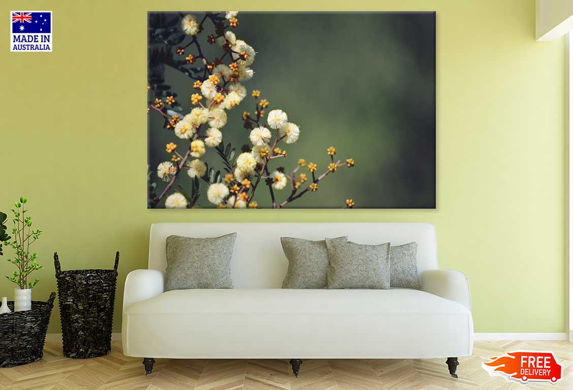 White Blossom Flowers Photograph Print 100% Australian Made