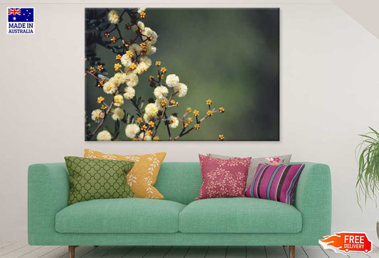 White Blossom Flowers Photograph Print 100% Australian Made