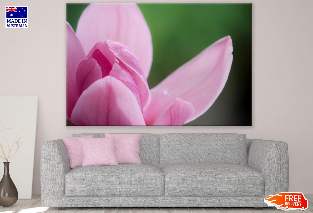 Pink Magnolia Flower Petals Closeup Photograph Print 100% Australian Made