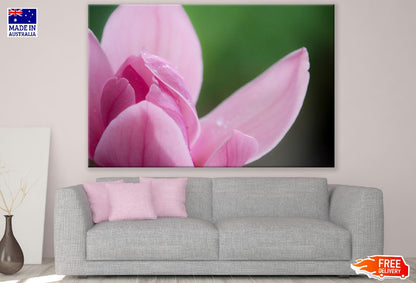 Pink Magnolia Flower Petals Closeup Photograph Print 100% Australian Made