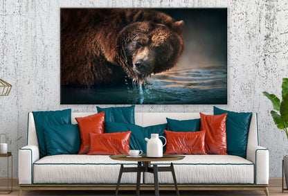 Bear Drinking Water Print 100% Australian Made