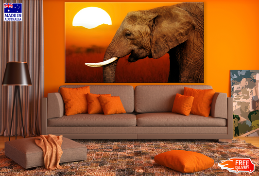 Elephant Face Portrait Sunset Print 100% Australian Made