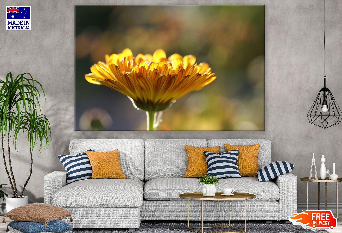 Yelow Marigold Flower Closeup Photograph Print 100% Australian Made