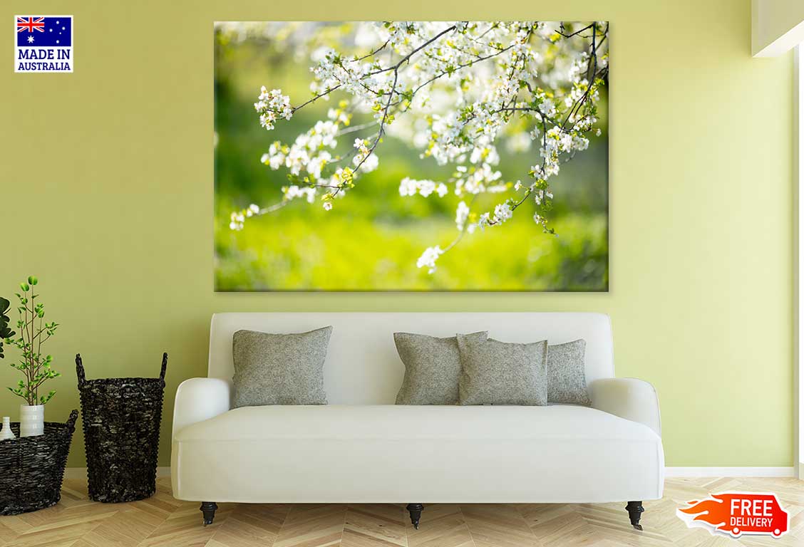 White Blossom Tree Flowers View Photograph Print 100% Australian Made