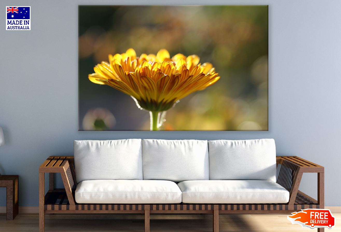 Yelow Marigold Flower Closeup Photograph Print 100% Australian Made