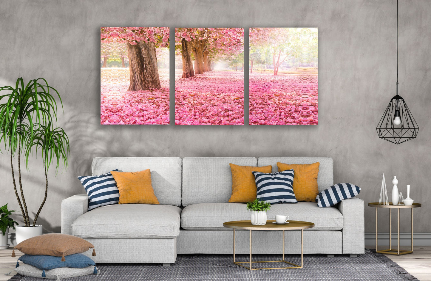 3 Set of Blossom Tree Park Photograph High Quality Print 100% Australian Made Wall Canvas Ready to Hang