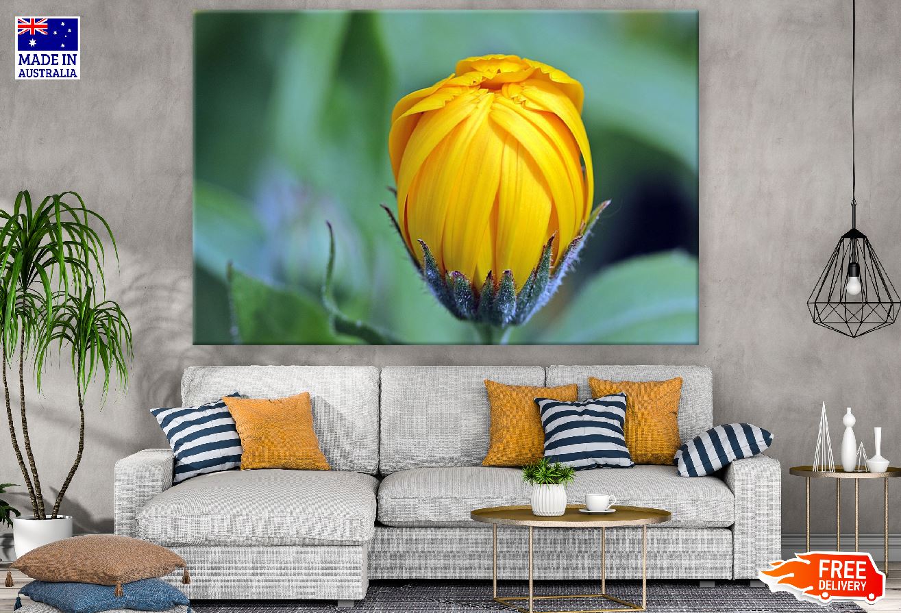 Marigold Calendula Bud Closeup Photograph Print 100% Australian Made