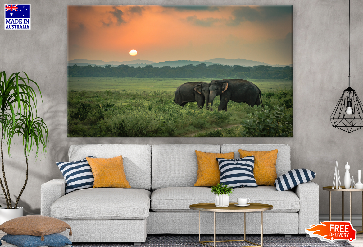 Elephant Love Sunset Photograph Print 100% Australian Made