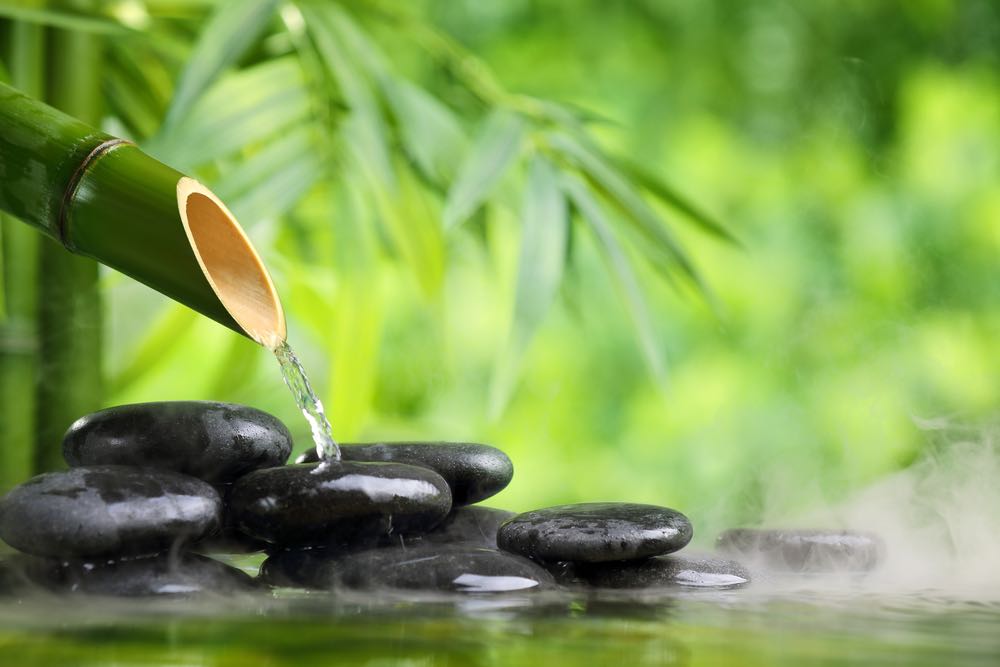 Bamboo Tree & Zen Stones Home Decor Premium Quality Poster Print Choose Your Sizes