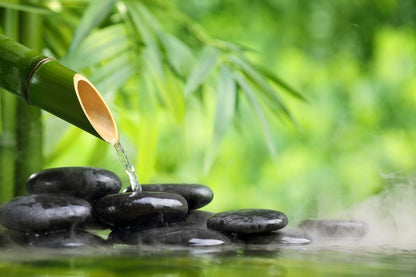 Bamboo Tree & Zen Stones Home Decor Premium Quality Poster Print Choose Your Sizes