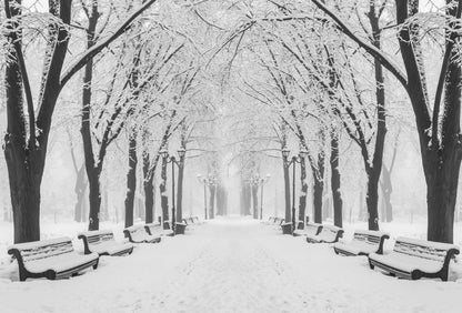 Street Covered with Snow Scenery Home Decor Premium Quality Poster Print Choose Your Sizes