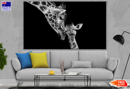 Giraffe Love B&W Portrait Photograph Print 100% Australian Made