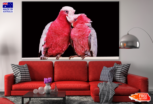 Red Love Birds Photograph Print 100% Australian Made