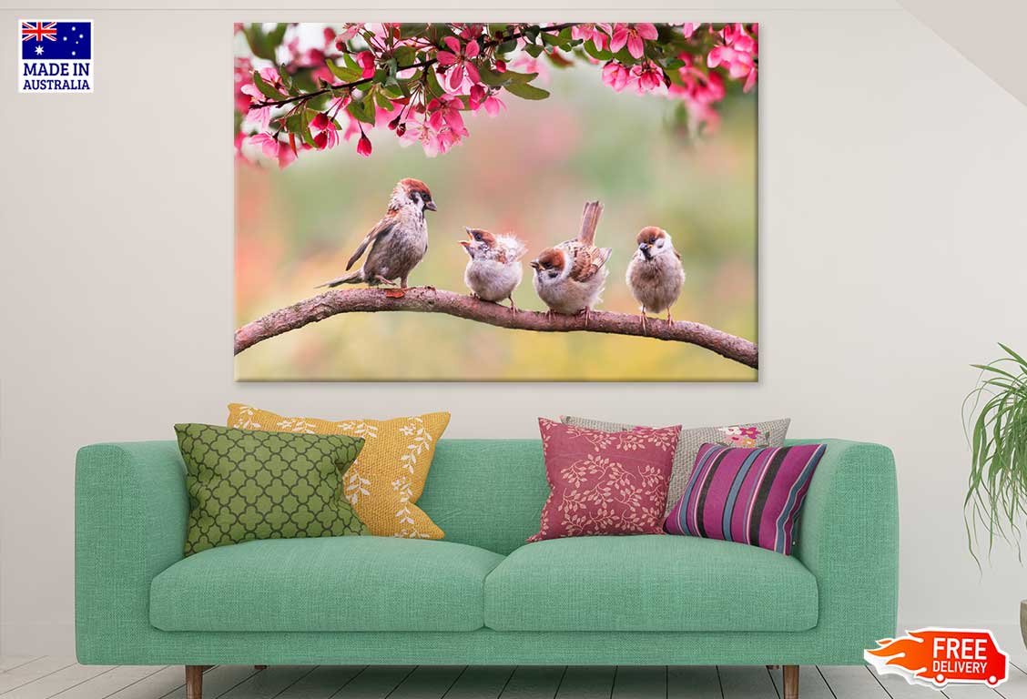 Spring Birds on Flower Tree View Photograph Print 100% Australian Made