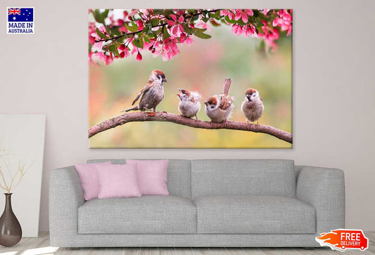 Spring Birds on Flower Tree View Photograph Print 100% Australian Made