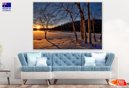 Cold Nature Trees Sunset Photograph Print 100% Australian Made