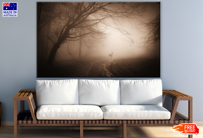 Misty Dark Forest Photograph Print 100% Australian Made