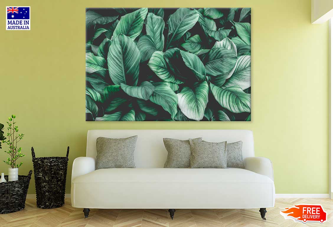 Green Plant Leaves Closeup View Photograph Print 100% Australian Made
