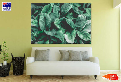 Green Plant Leaves Closeup View Photograph Print 100% Australian Made