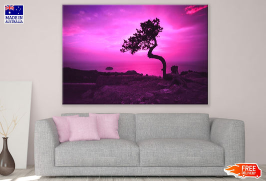 Tree on Mountain & Beach Sunset Photograph Print 100% Australian Made