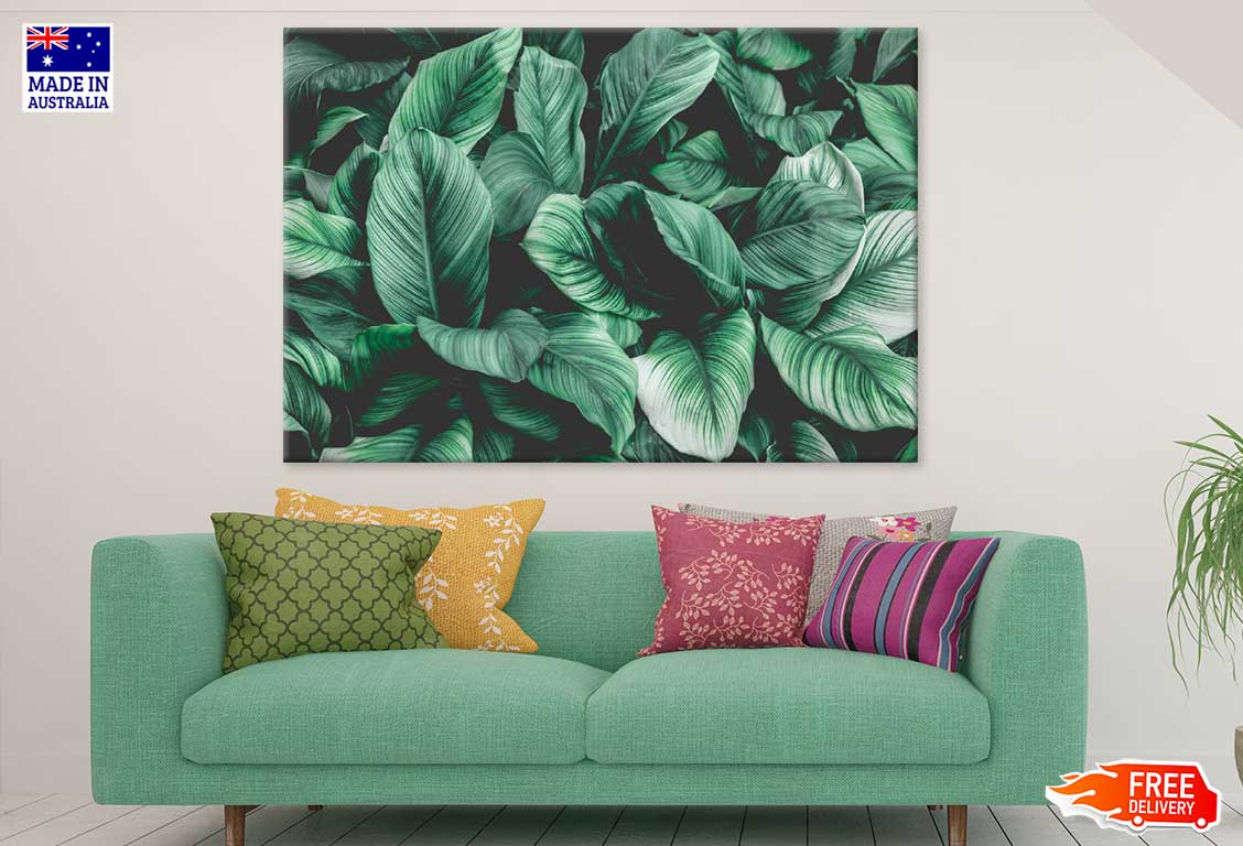 Green Plant Leaves Closeup View Photograph Print 100% Australian Made