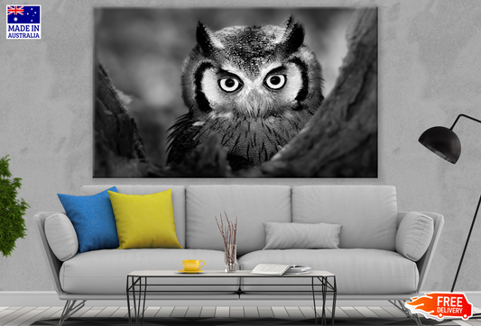 Owl Face Closeup B&W Photograph Print 100% Australian Made