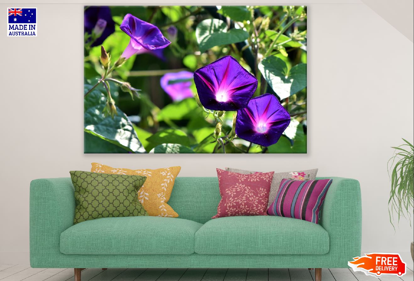 Purple Glory Flowers Photograph Print 100% Australian Made