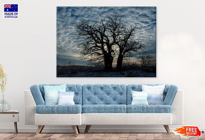 Trees on Hill with Cloudy Winter Photograph Print 100% Australian Made