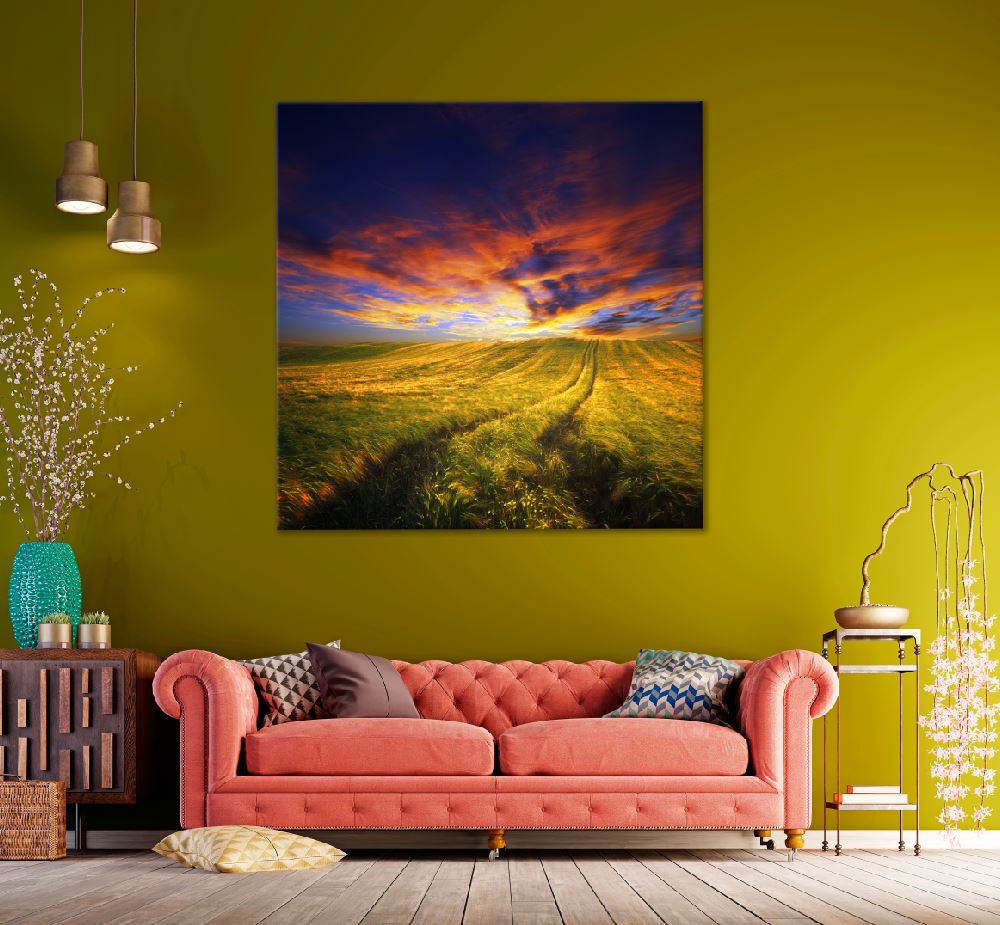 Square Canvas Wheat Field Landscape & Path View Photograph High Quality Print 100% Australian Made