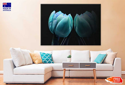 Blue Tulip on Dark Closeup View Photograph Print 100% Australian Made
