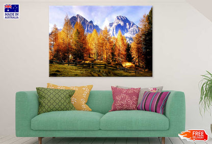 Autumn Trees & Mountains Scenery Photograph Print 100% Australian Made
