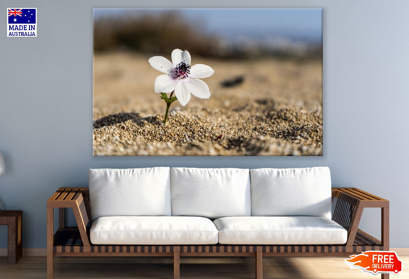 White Blossom Flower on Beach Closeup Photograph Print 100% Australian Made
