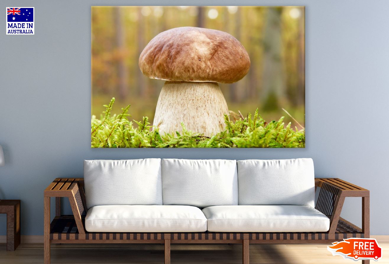 Boletus Edulis Mushroom Hat Photograph Print 100% Australian Made