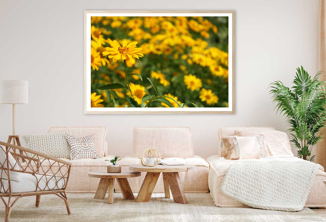 Yellow Daisies Field Closeup View Photograph Home Decor Premium Quality Poster Print Choose Your Sizes