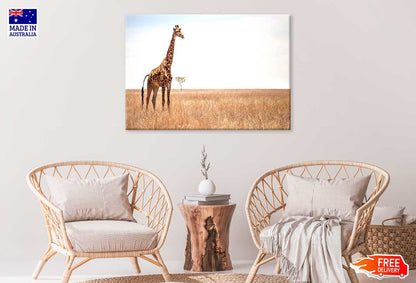 Giraffe on African Landscape Photograph Print 100% Australian Made