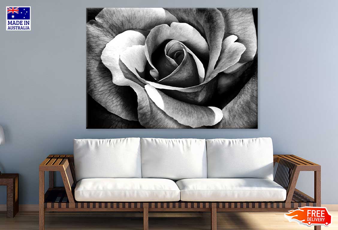 Rose Flower Petals B&W Photograph Print 100% Australian Made