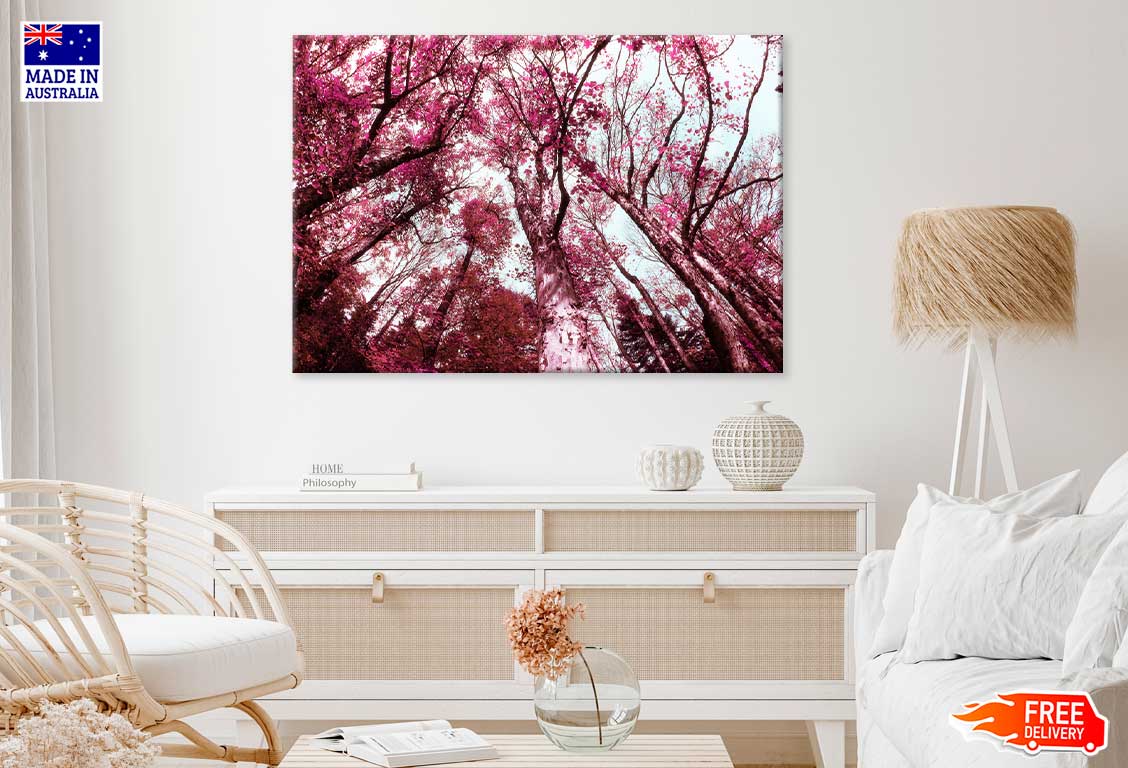 Pink Autumn Trees View from Below Photograph Print 100% Australian Made