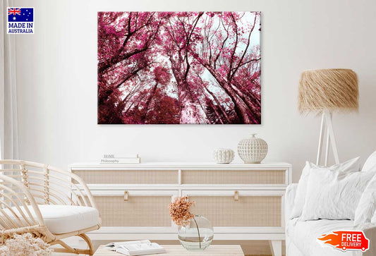 Pink Autumn Trees View from Below Photograph Print 100% Australian Made