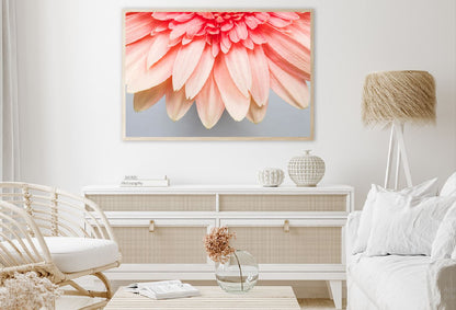 Pink Flower Petals Closeup View Photograph Home Decor Premium Quality Poster Print Choose Your Sizes