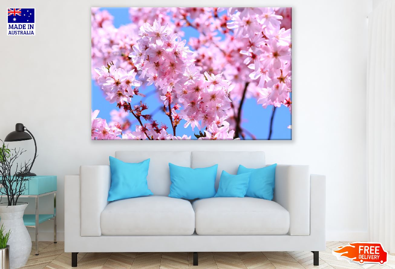 Pink Cherry Blossom Flowers View Photograph Print 100% Australian Made